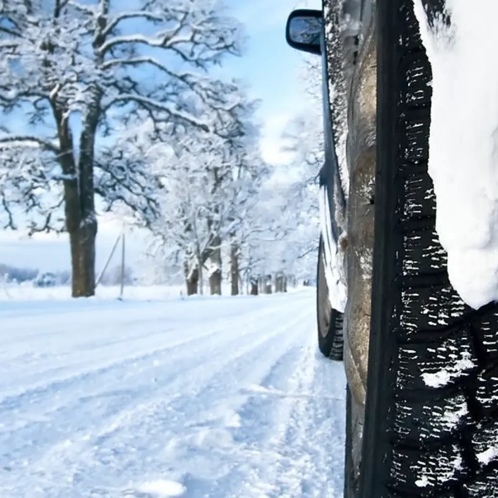 winter check