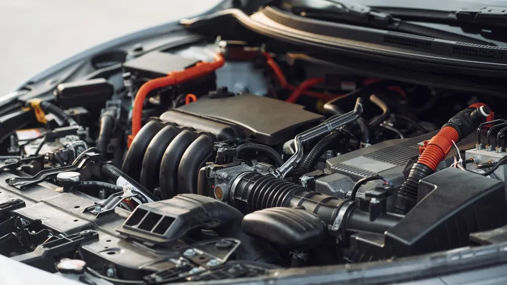 Dave Kuys grote onderhoudsbeurt